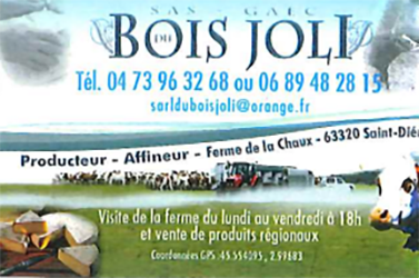 http://saint-nectaire-boisjoli.com/